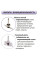 Міксер Robot Coupe Mini MP190VV