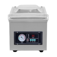 Вакууматор камерный FROSTY DZ-300/PD